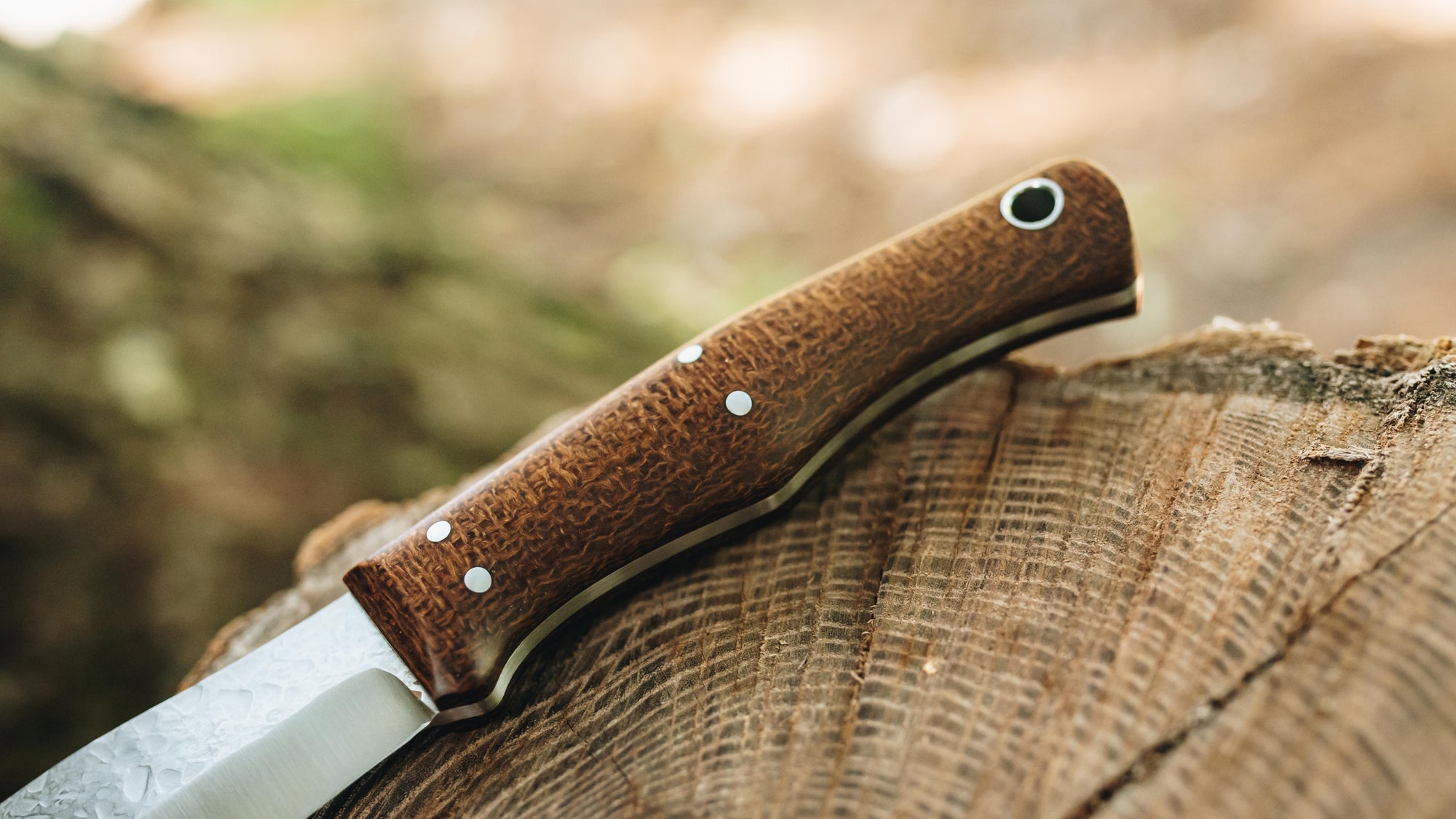 Yellowhead Skinner - in brown burlap - (AEB-L)