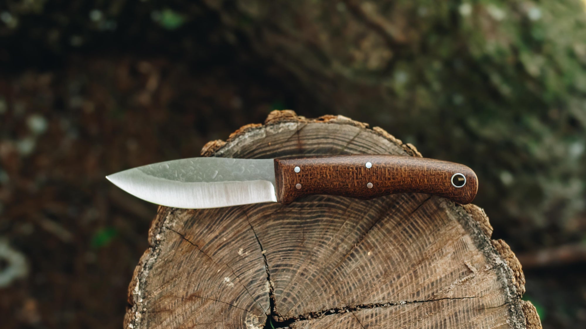 Yellowhead Skinner - in brown burlap - (AEB-L)