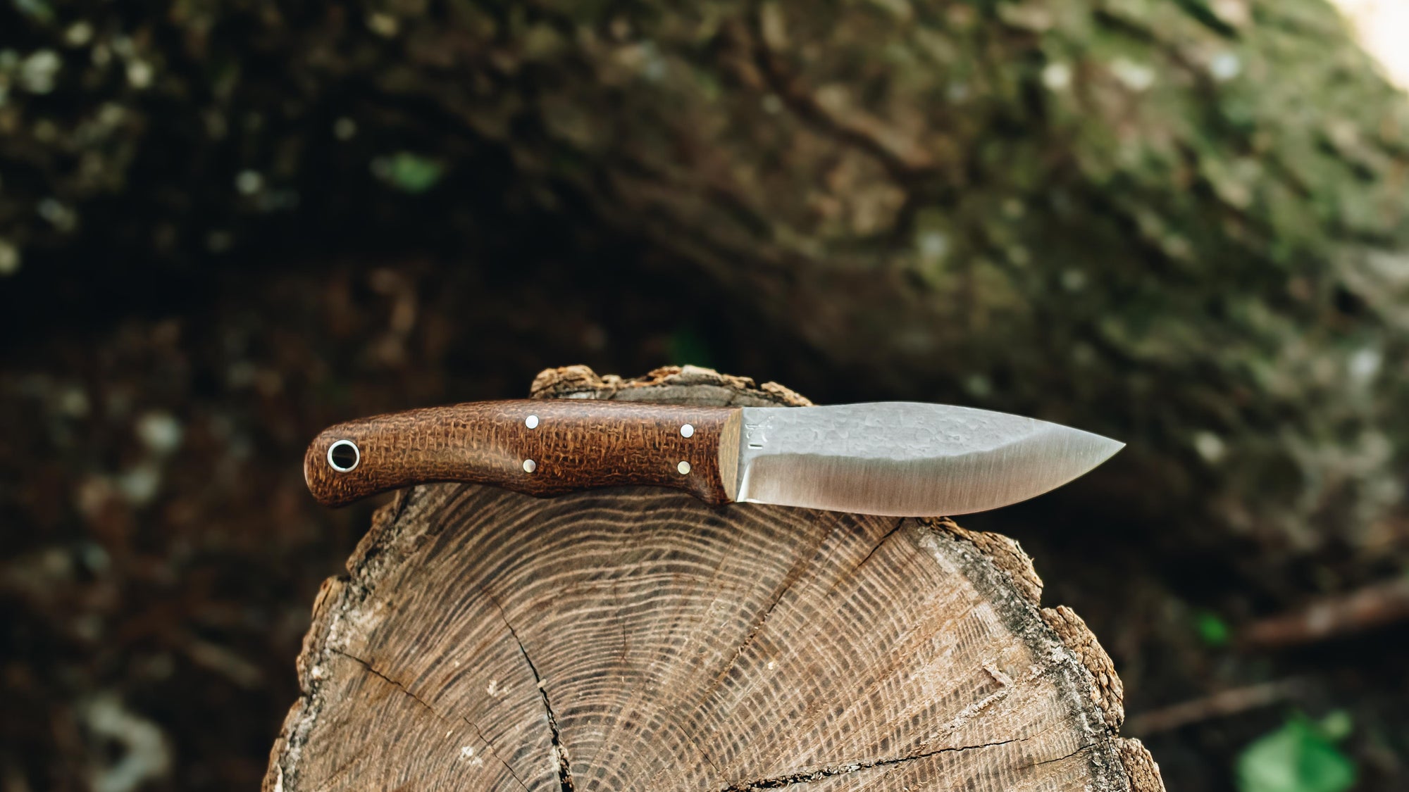 Yellowhead Skinner - in brown burlap - (AEB-L)