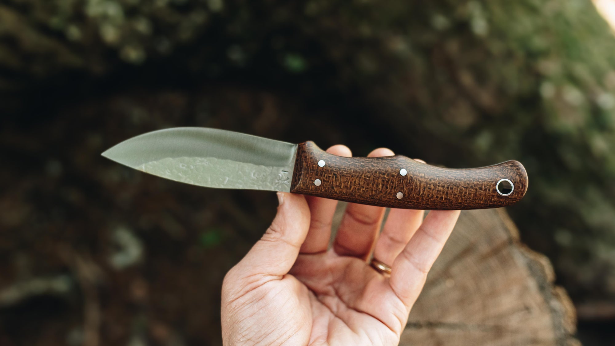 Yellowhead Skinner - in brown burlap - (AEB-L)