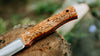 Walkabout - in Karelian birch - (CPM 3V)