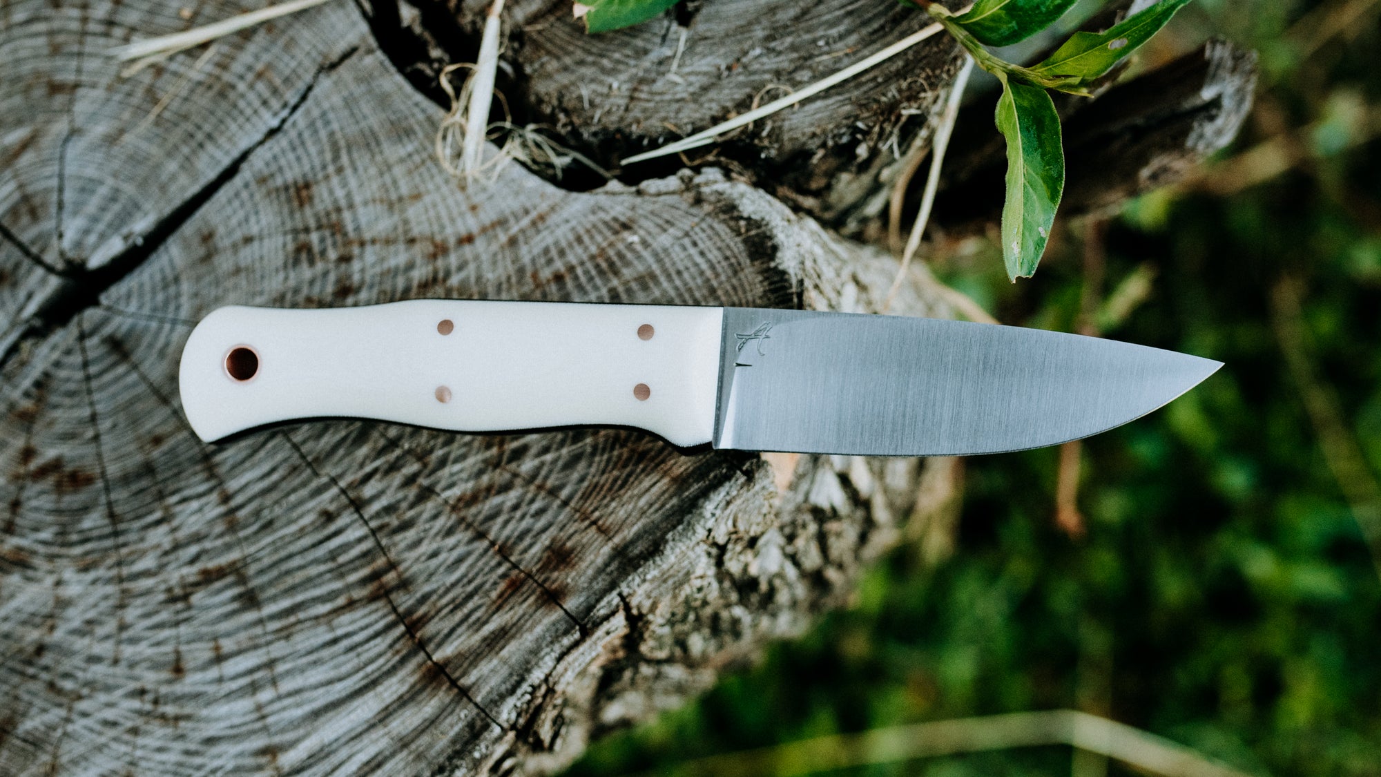 Mini Walkabout - $310