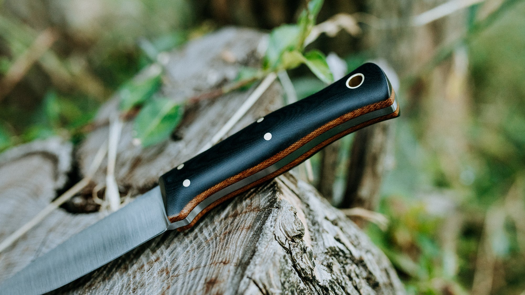 Mini Walkabout - $310