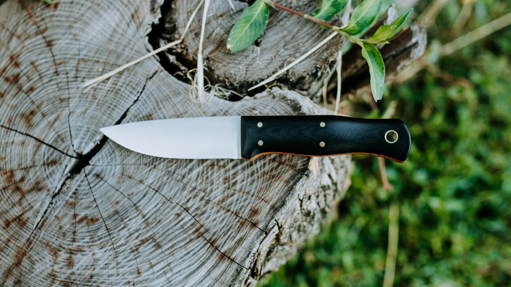 Mini Walkabout - $310