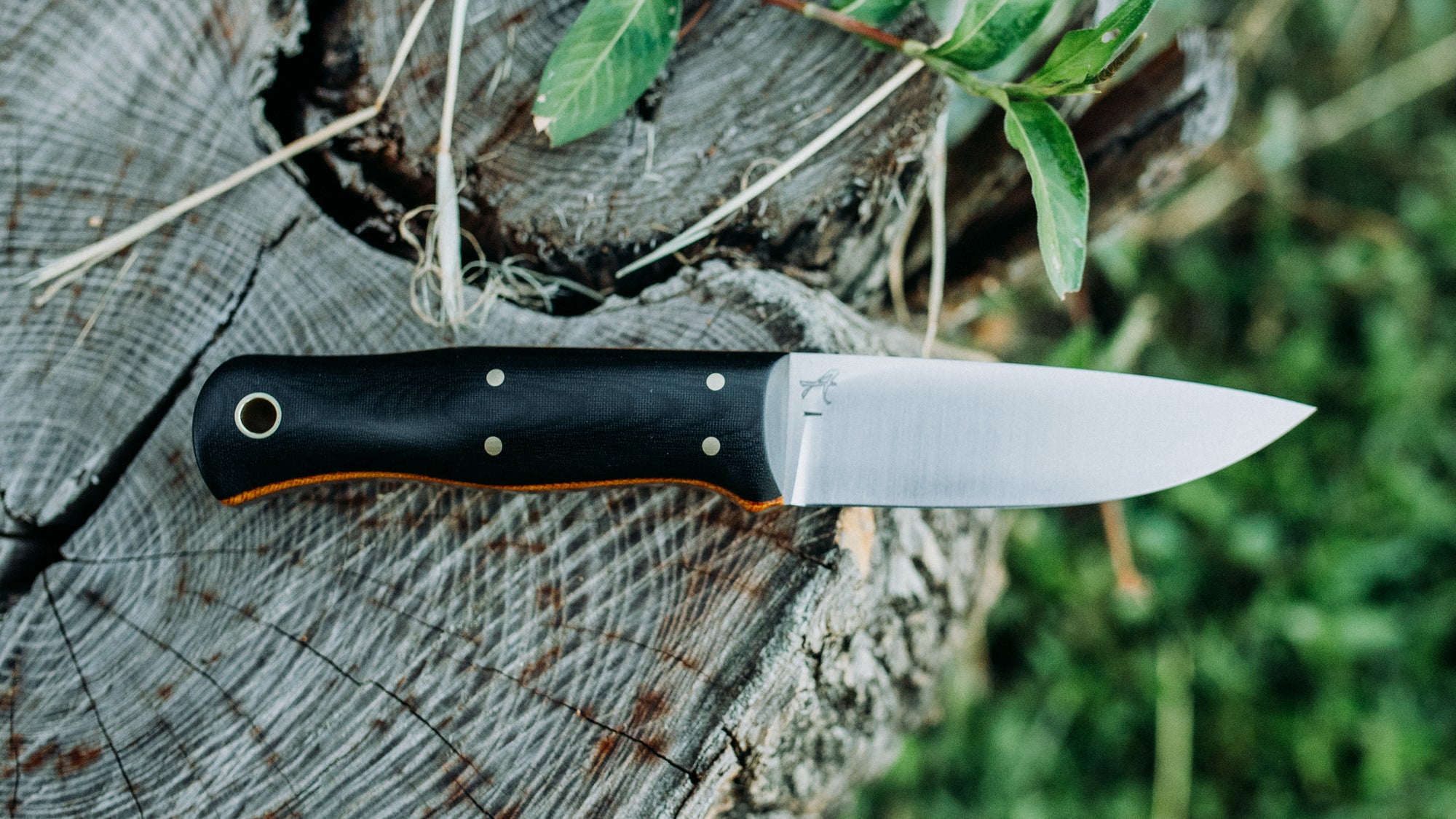 Mini Walkabout - $310