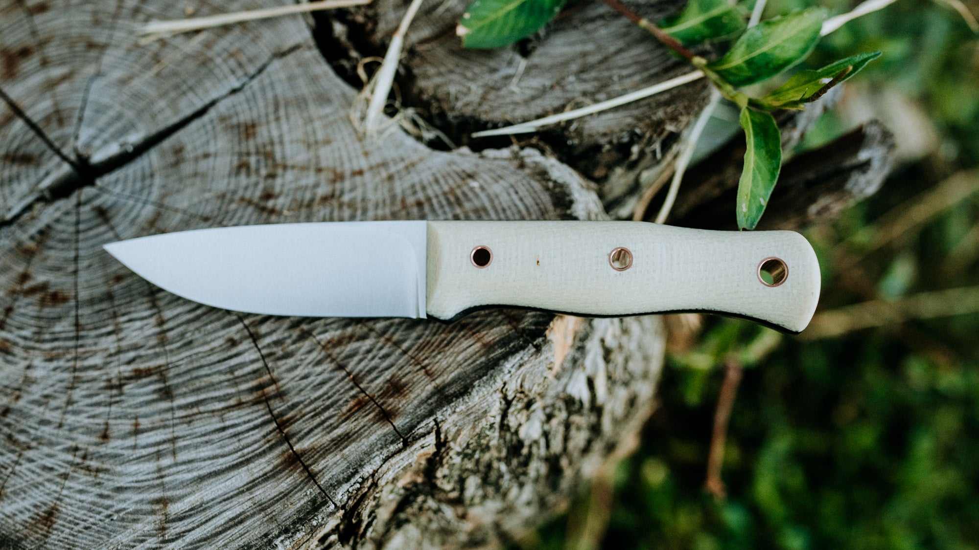 Mini Walkabout - $310