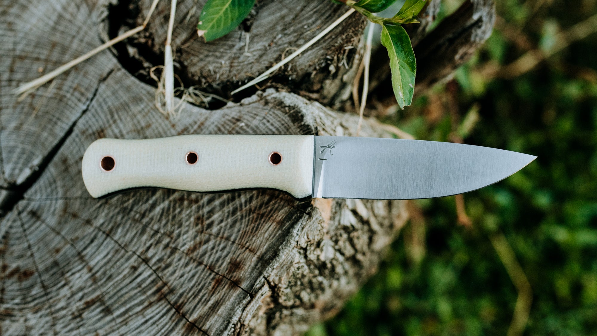 Mini Walkabout - $310