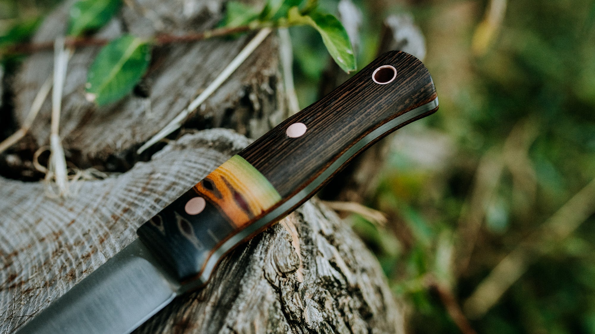 Mini Walkabout - $310