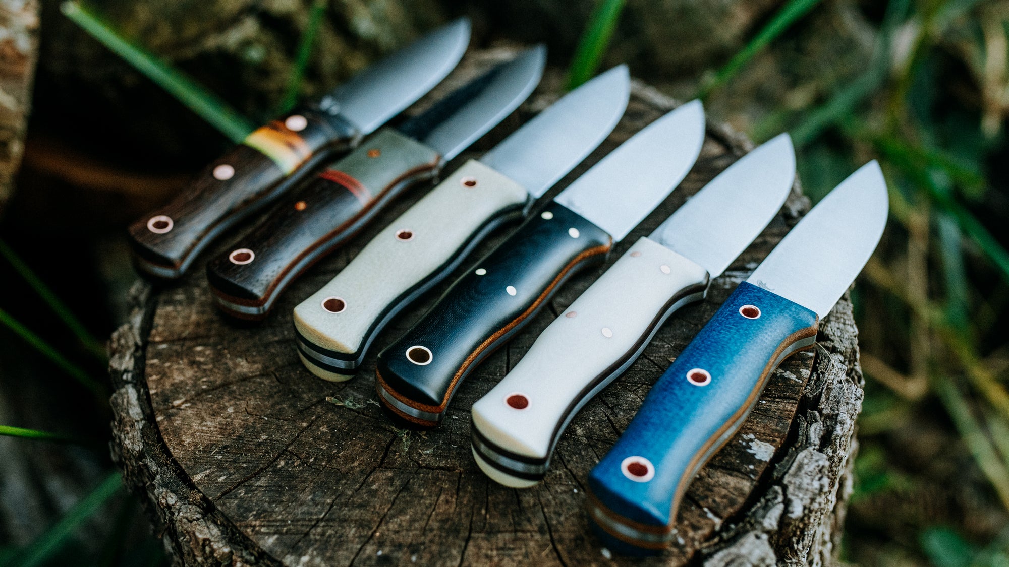 Mini Walkabout - $310