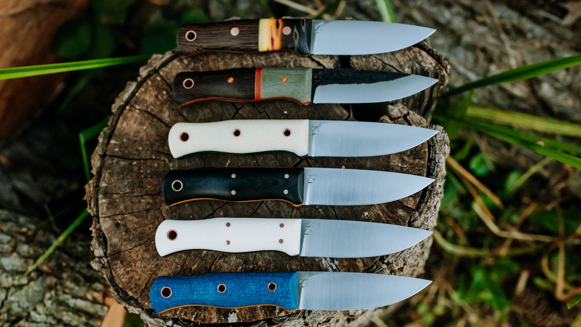 Mini Walkabout - $310