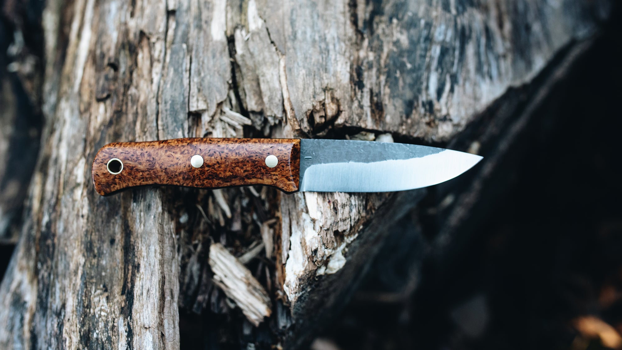 Mini Walkabout - in masur birch - (AEB-L)