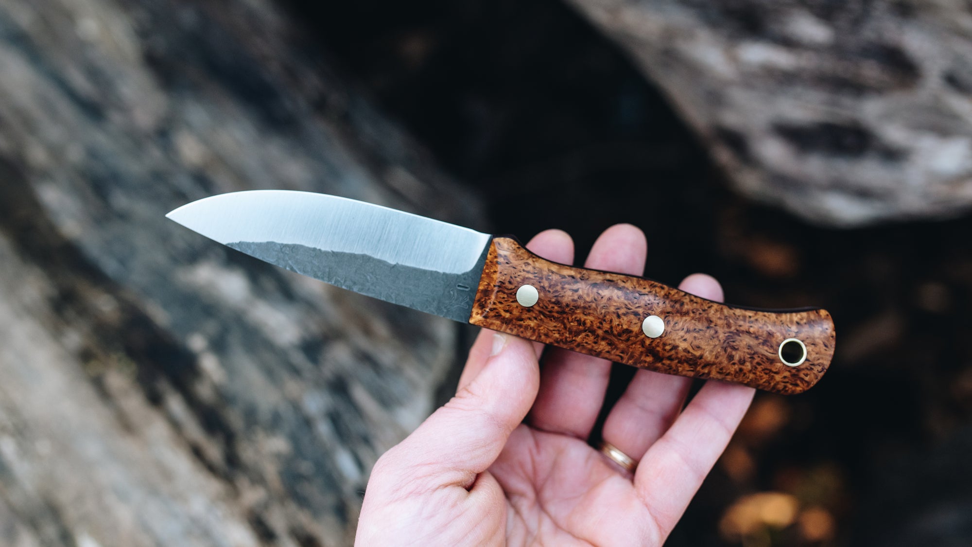 Mini Walkabout - in masur birch - (AEB-L)