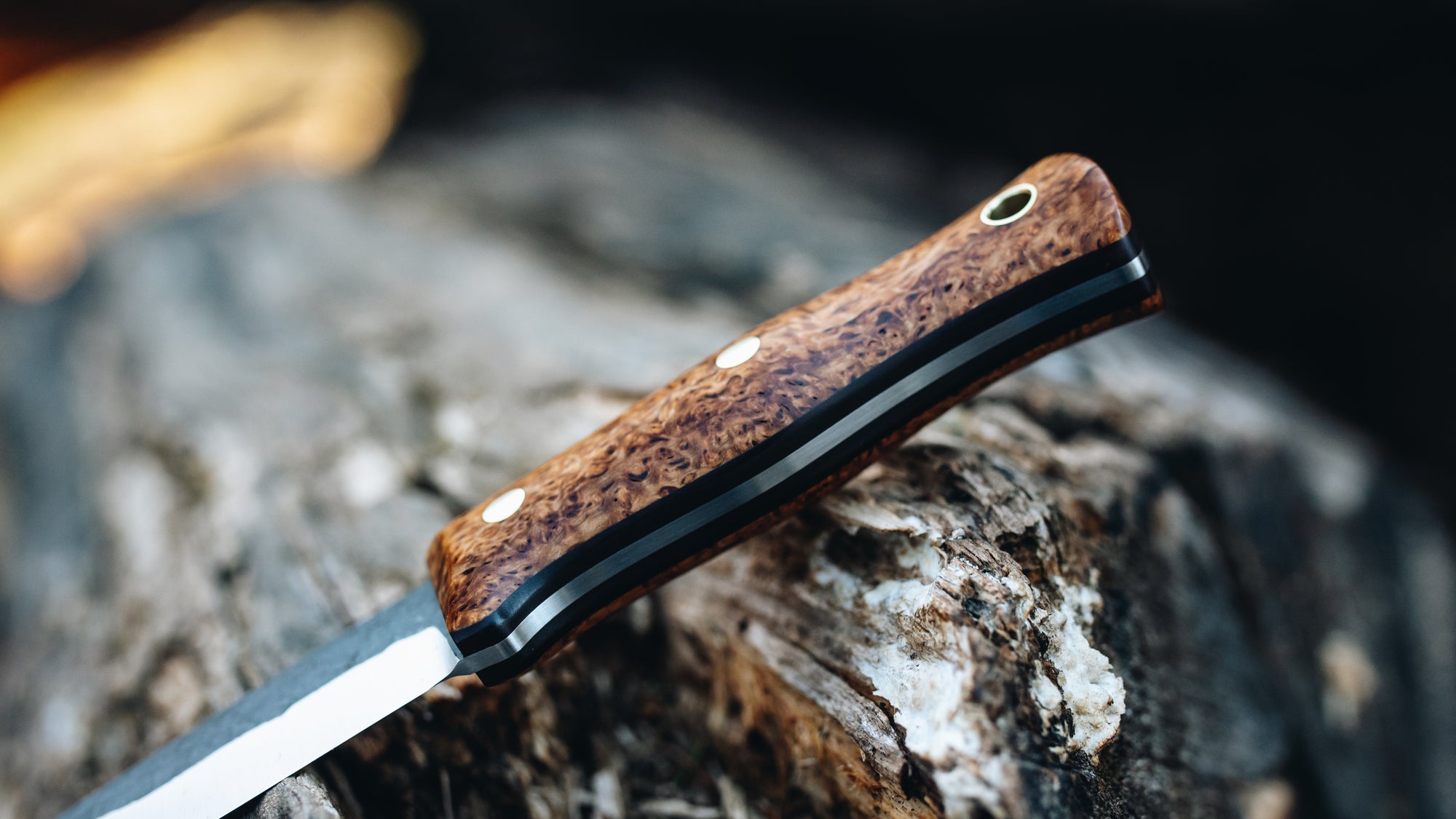 Mini Walkabout - in masur birch - (AEB-L)