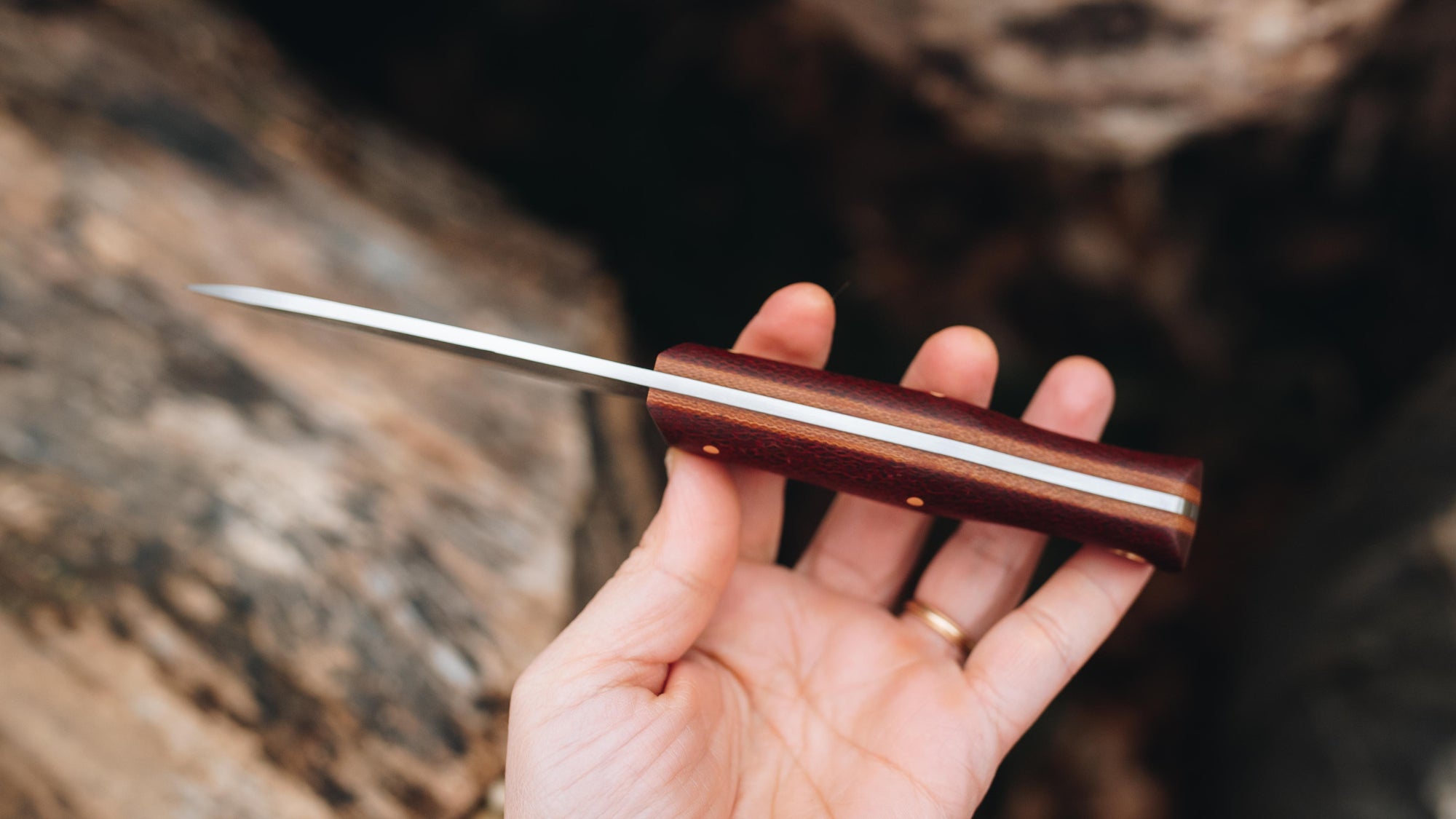 Bobcat - in red burlap - (CPM 3V)