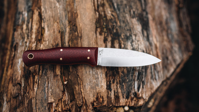 Bobcat - in red burlap - (CPM 3V)