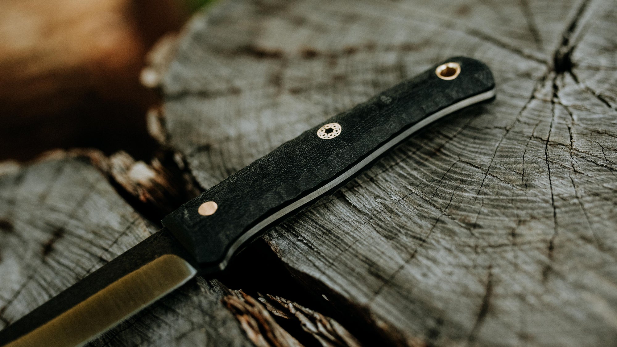 Quail - in black linen - (CPM 3V)