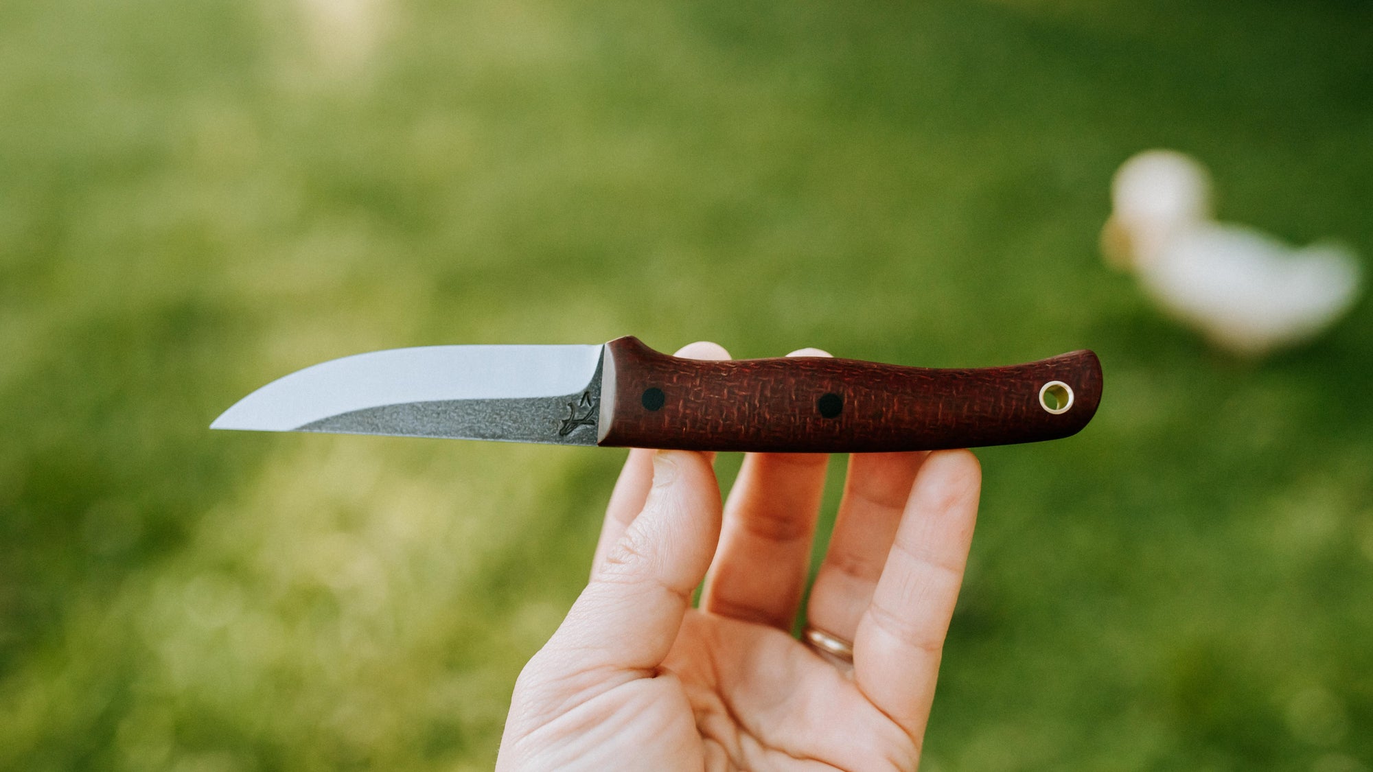 Quail - in red burlap - (CPM 3V)