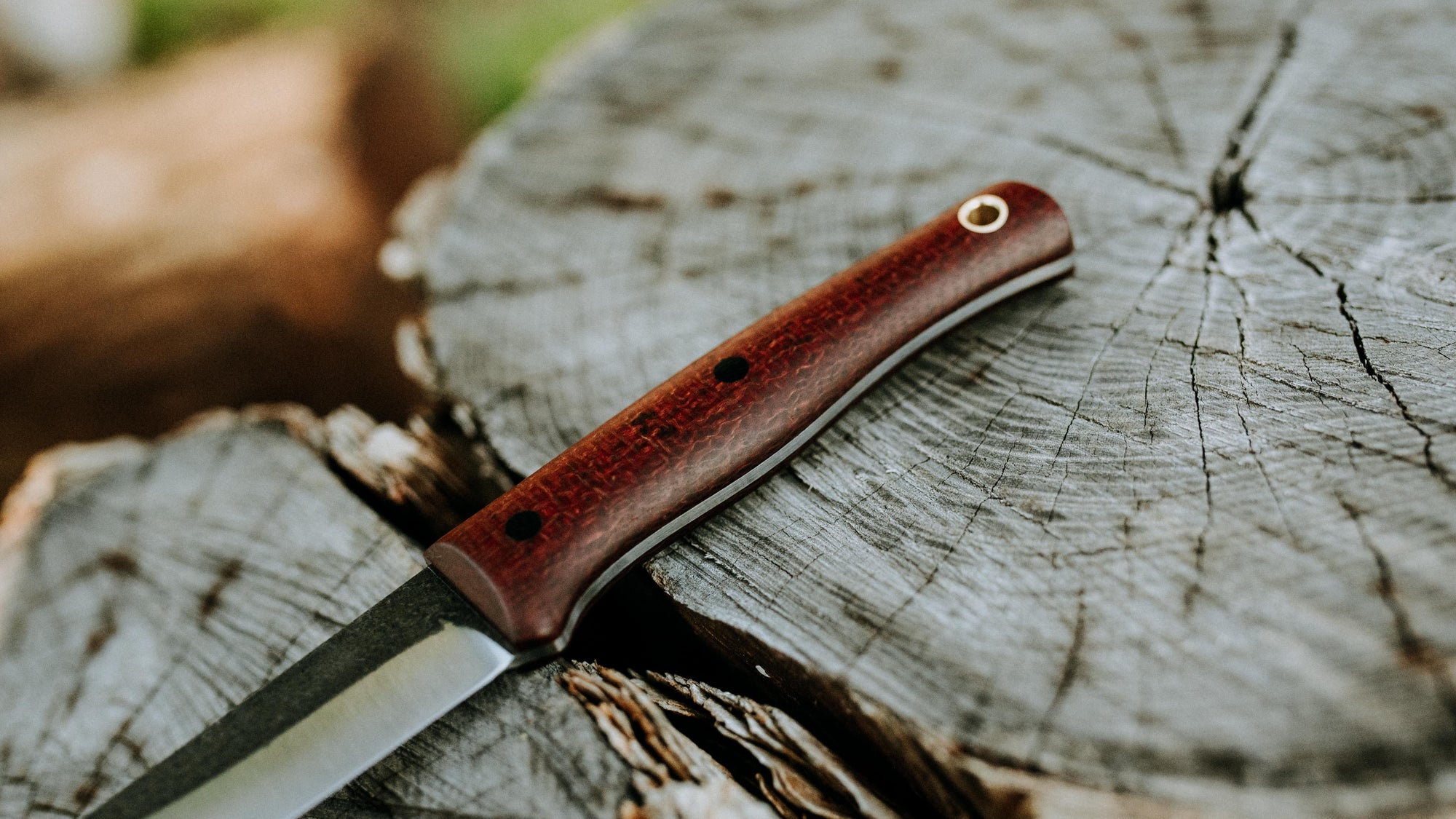 Quail - in red burlap - (CPM 3V)