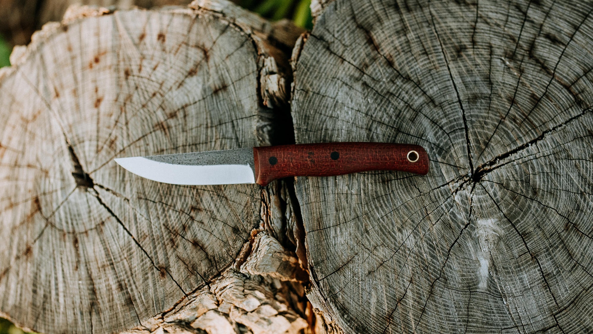 Quail - in red burlap - (CPM 3V)