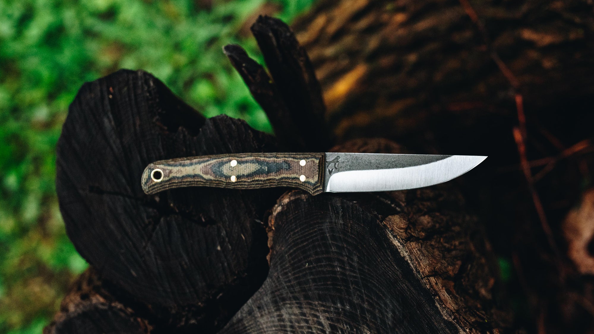 Quail - in camo canvas - (CPM 3V)