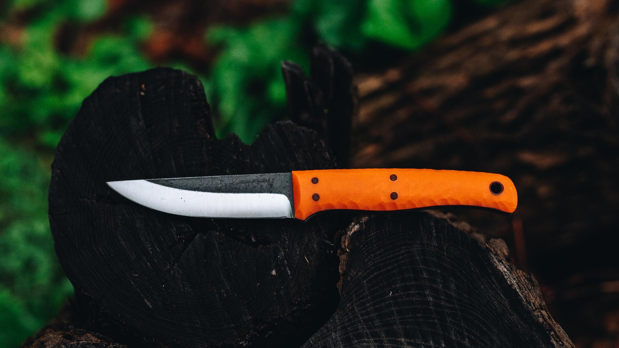 Quail - in textured orange G-10 - (CPM 3V)