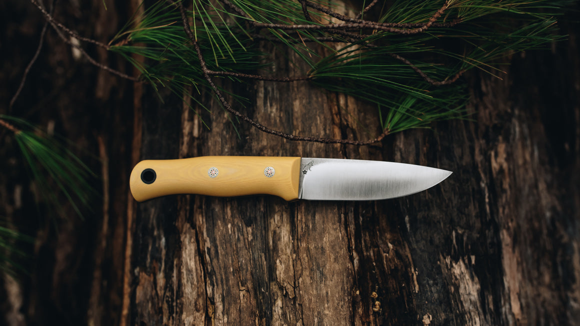 Mini Walkabout - in antique ivory paper - (Magnacut)