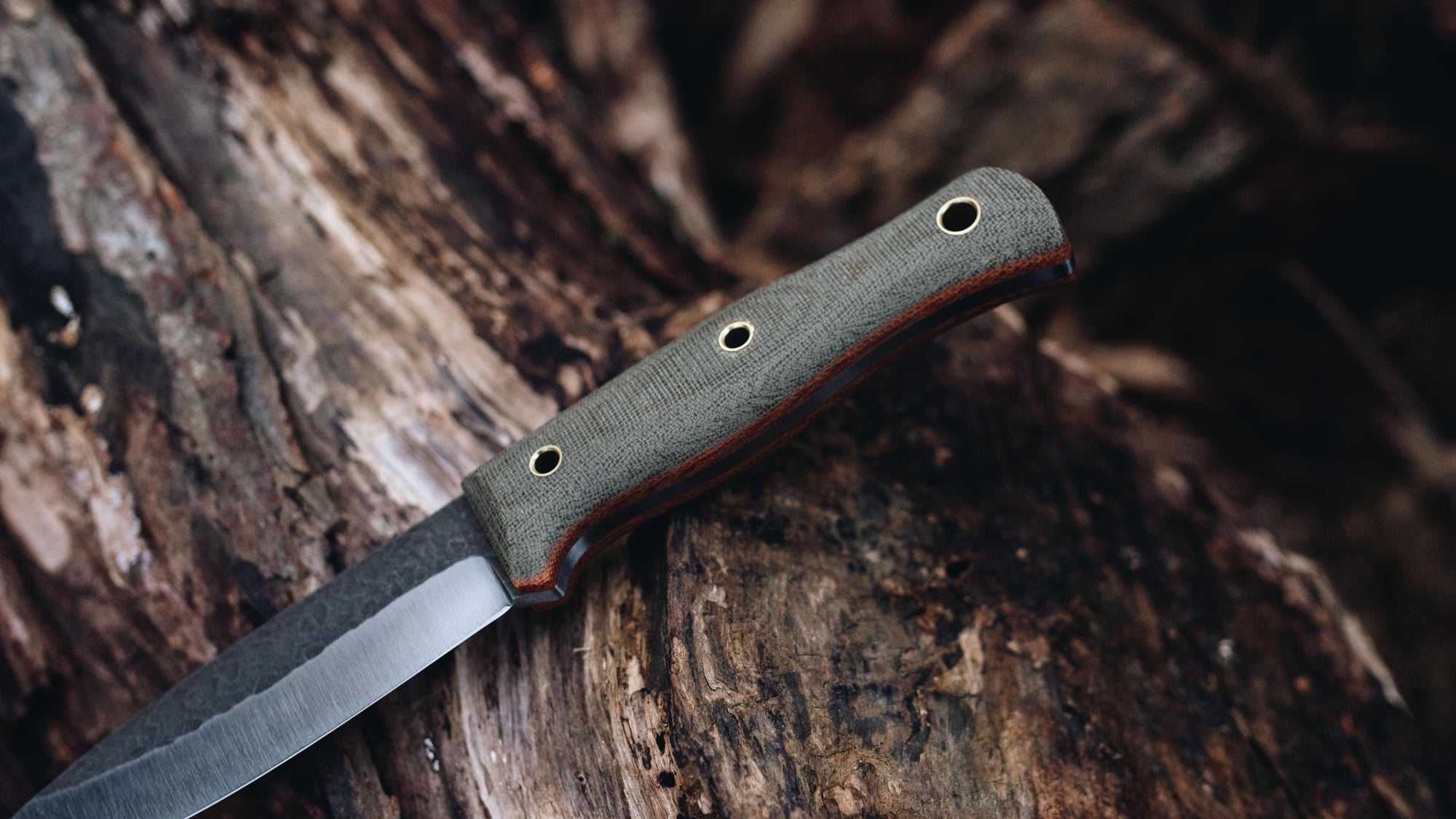 Vagabond - in OD terotuf - (CPM 3V)