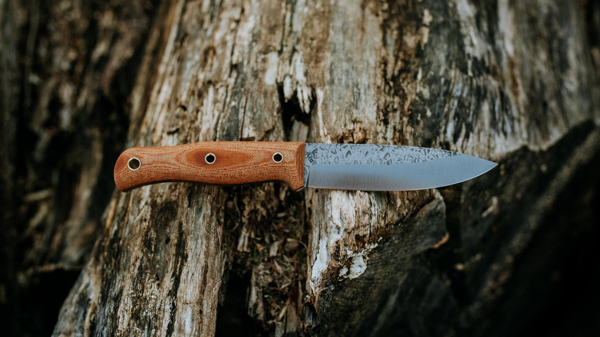 Vagabond