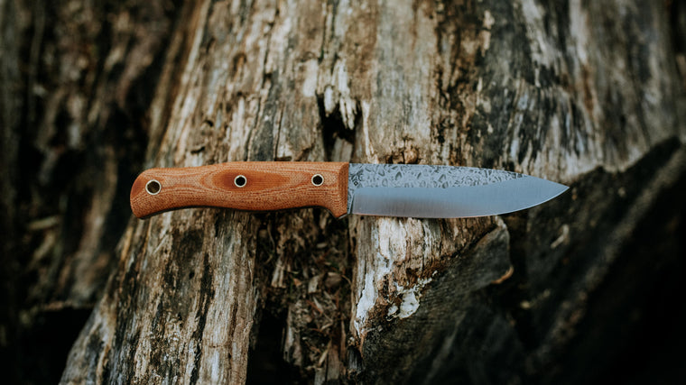Vagabond