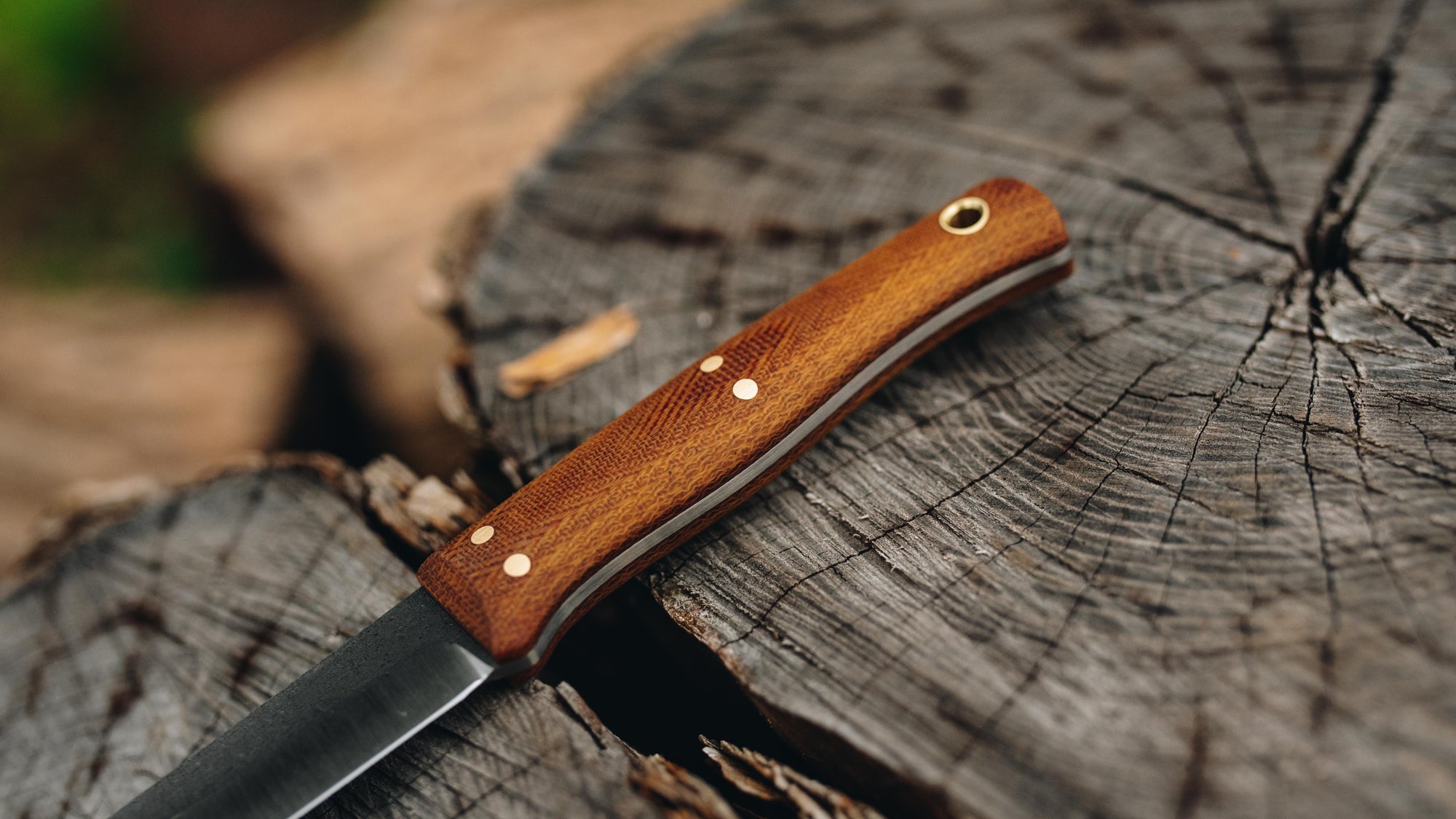 Quail - in natural canvas - (CPM 3V)