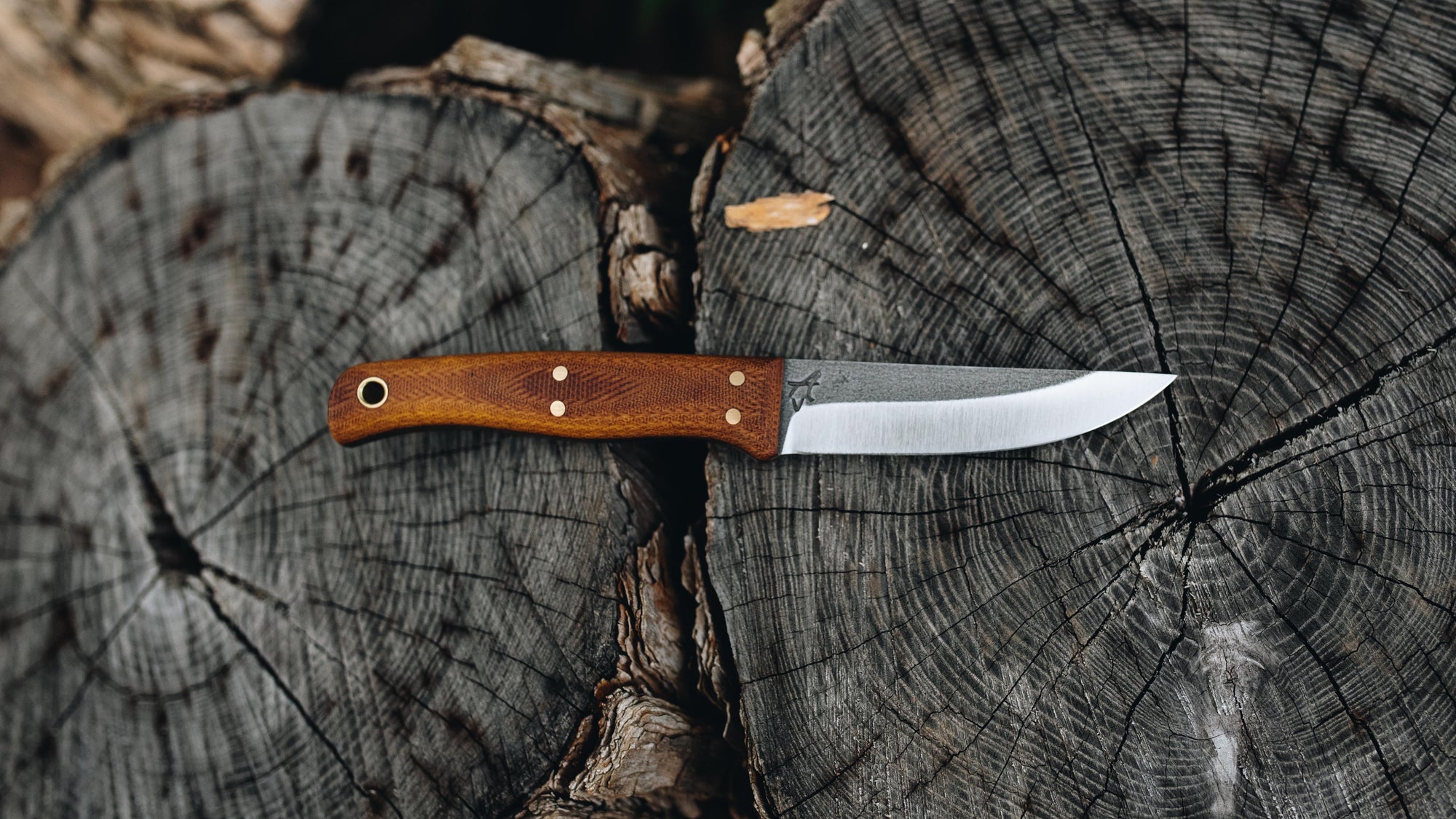 Quail - in natural canvas - (CPM 3V)