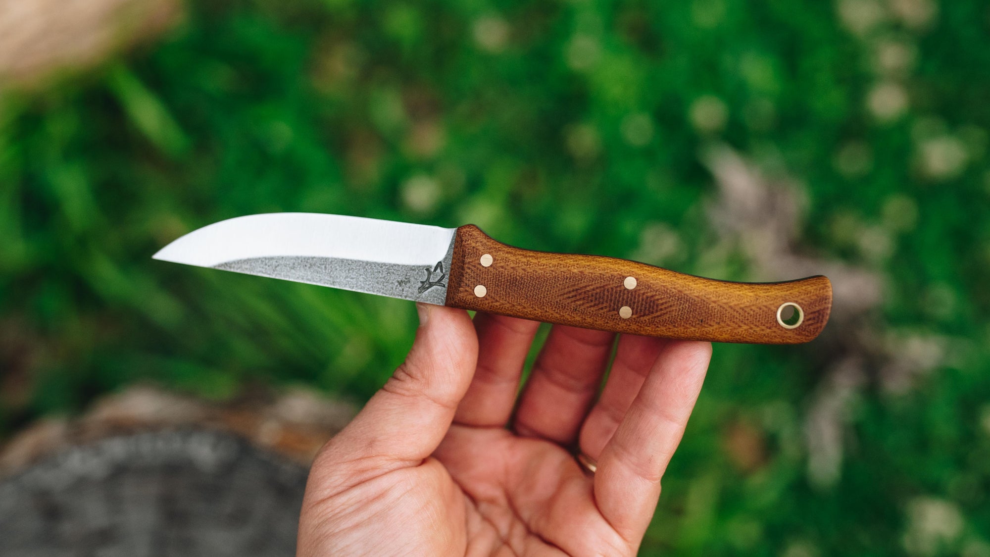 Quail - in natural canvas - (CPM 3V)