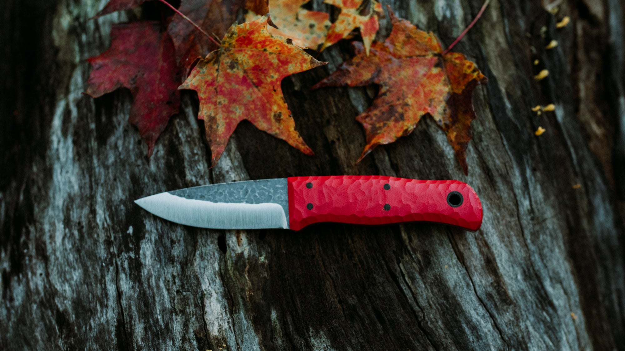 Traveler - in textured cherry red G-10 - (Procut)