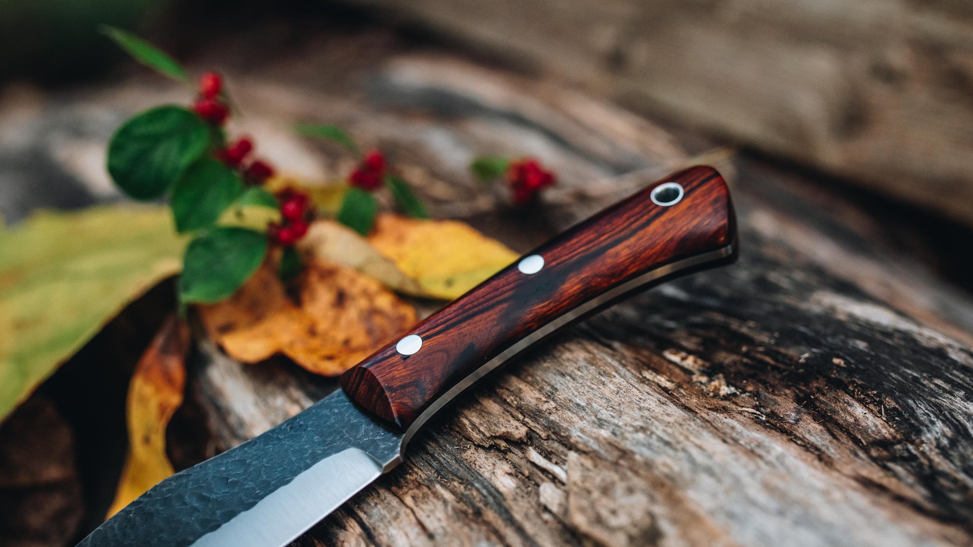 Muk - in Ironwood - (CPM 3V)